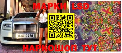 ALPHA PVP Ярославль