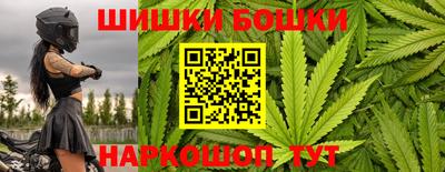 гашик Янаул