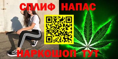 гашик Янаул
