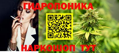 гашик Янаул