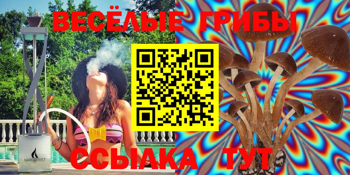Каменка  Псилоцибиновые грибы Cubensis  Вход с VPN 